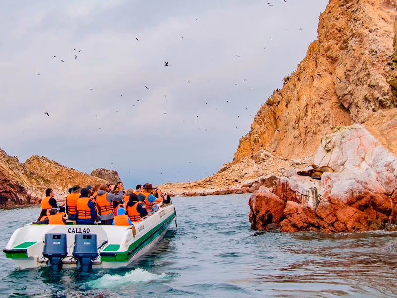 Ballestas Islands & Paracas National Reserve